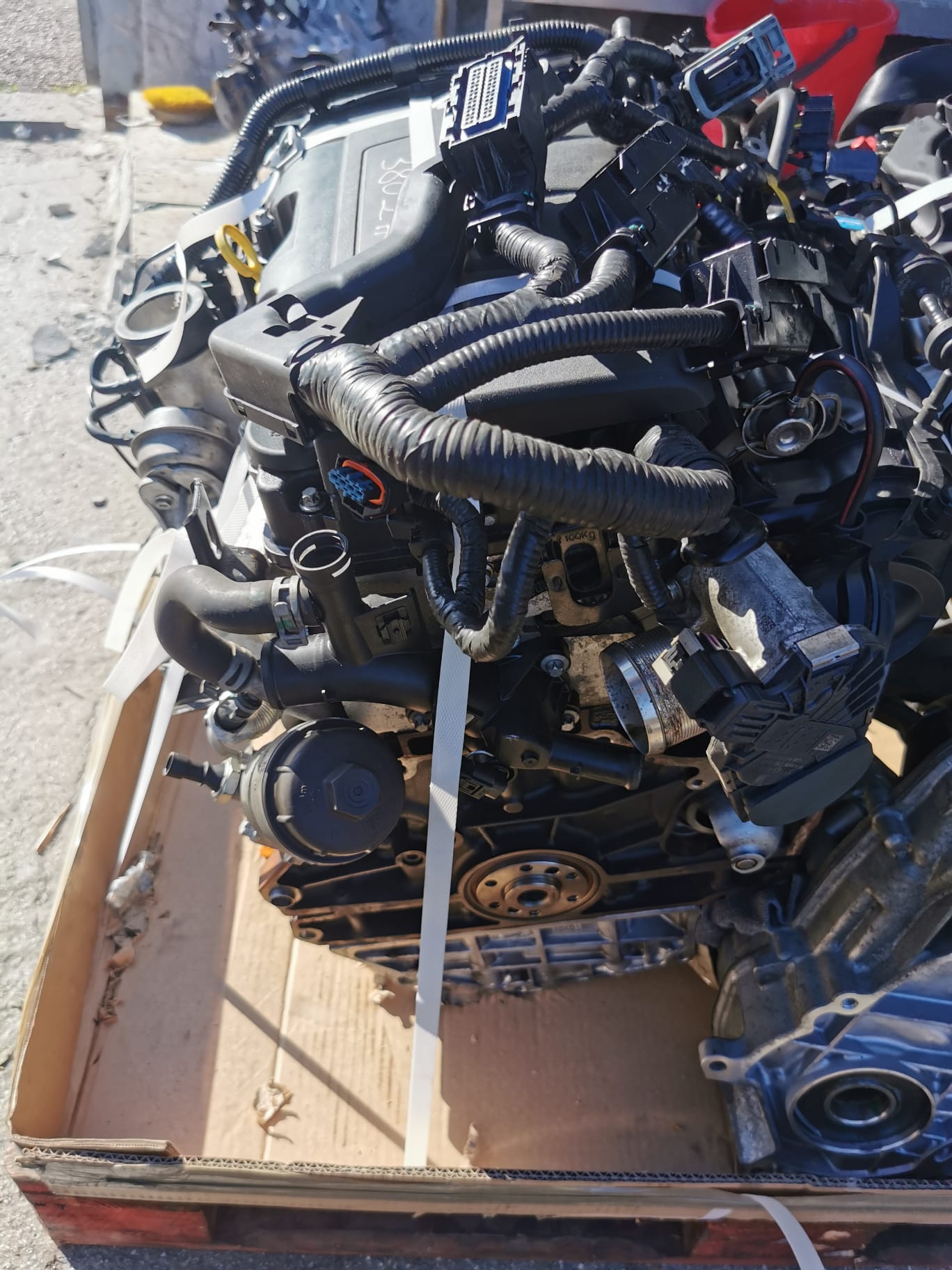 WhatsApp Image 2022-12-27 at 15.43.45 (2)