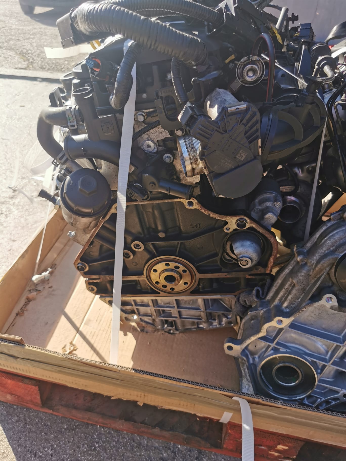 WhatsApp Image 2022-12-27 at 15.43.45