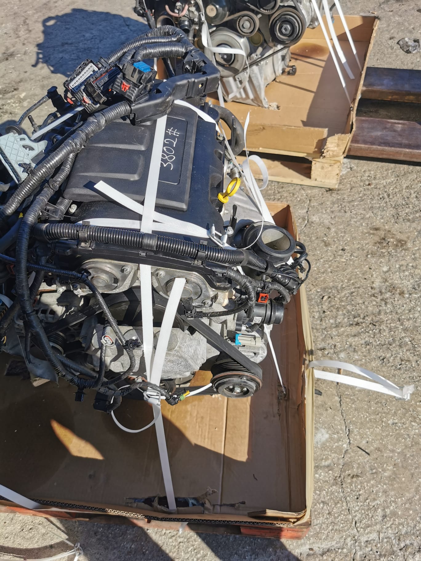 WhatsApp Image 2022-12-27 at 15.43.46