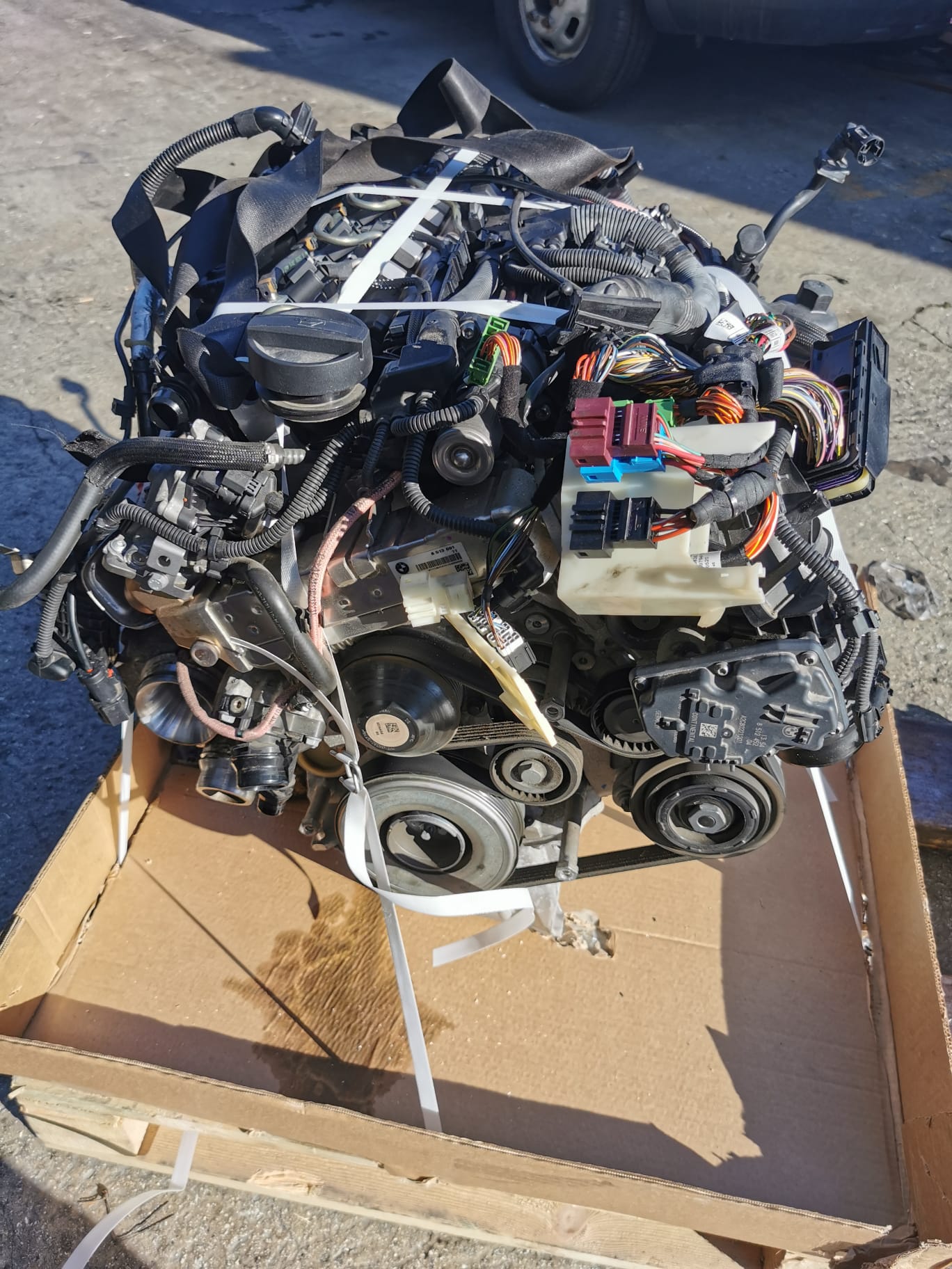 WhatsApp Image 2022-12-27 at 15.44.56