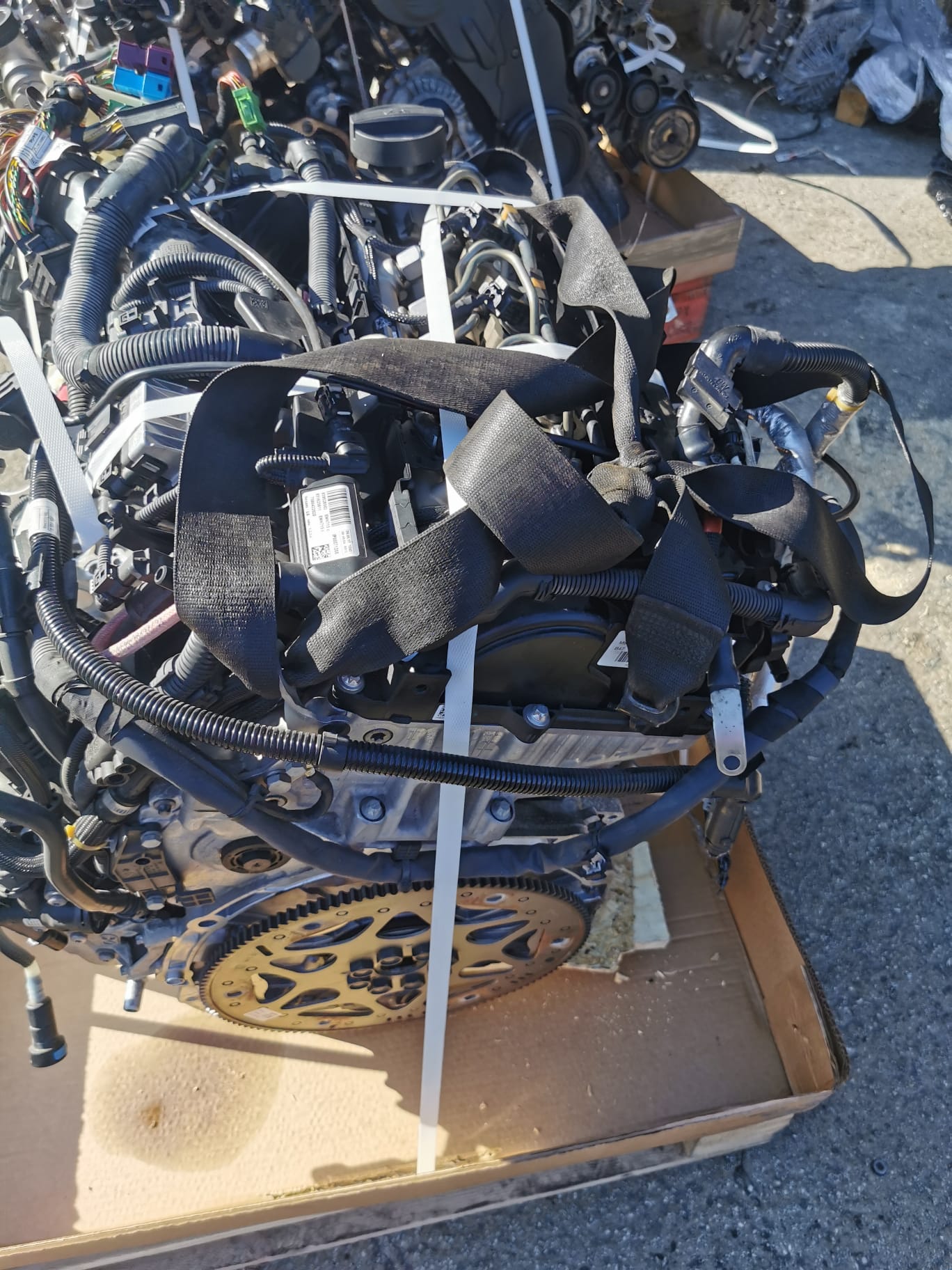 WhatsApp Image 2022-12-27 at 15.44.57