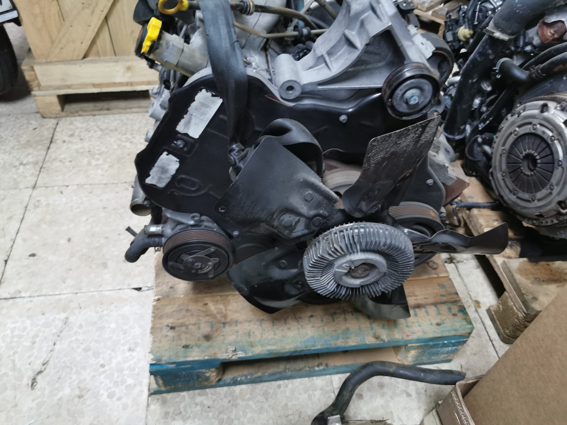 WhatsApp Image 2023-03-24 at 10.50.45