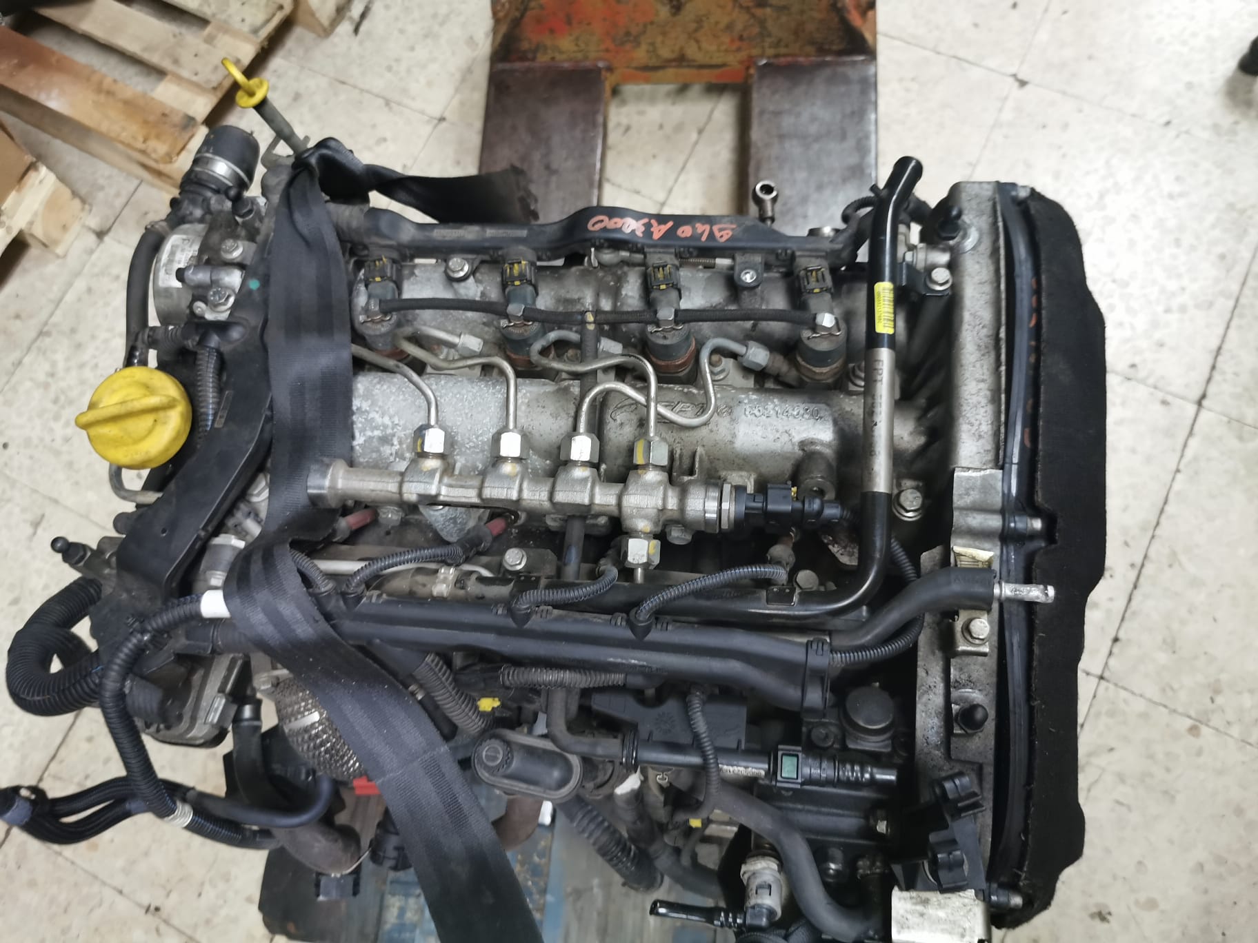 d59434e2-b235-490c-93f6-b9558b0e0fd9